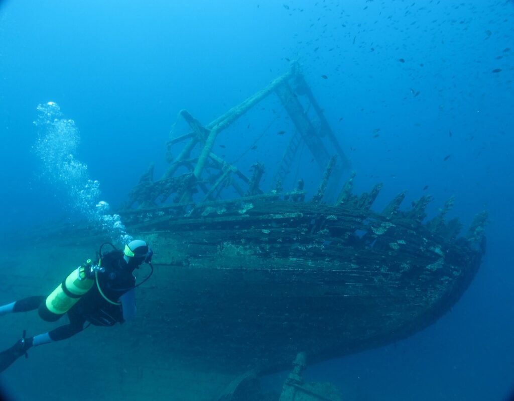 dive, croatia, mediterranean-225580.jpg